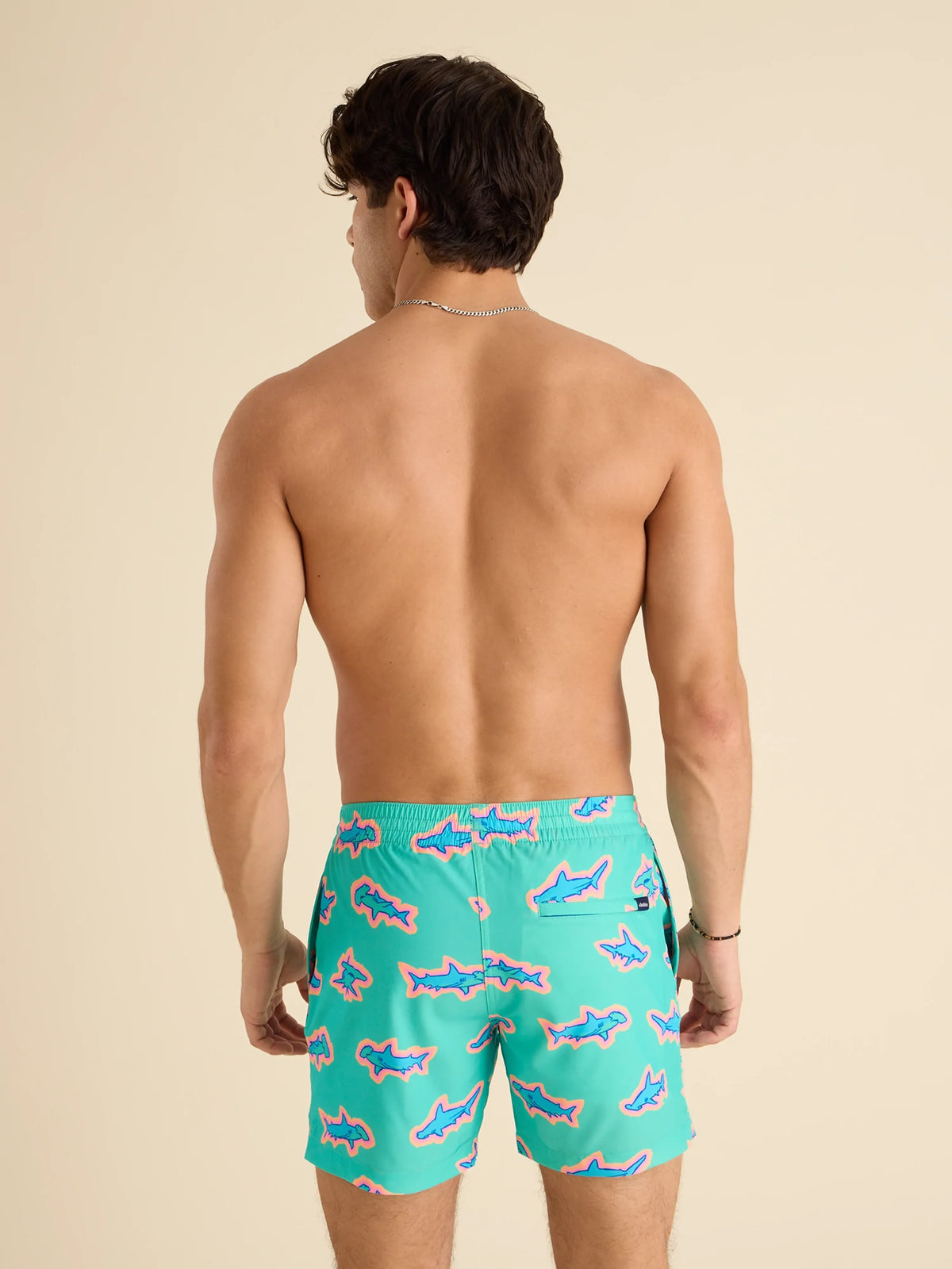 The Apex Swimmers 5.5" (Classic Swim Trunk)