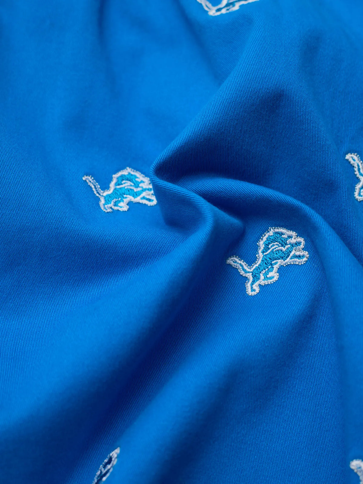 The Lions Team Spirits 5.5" (Originals)