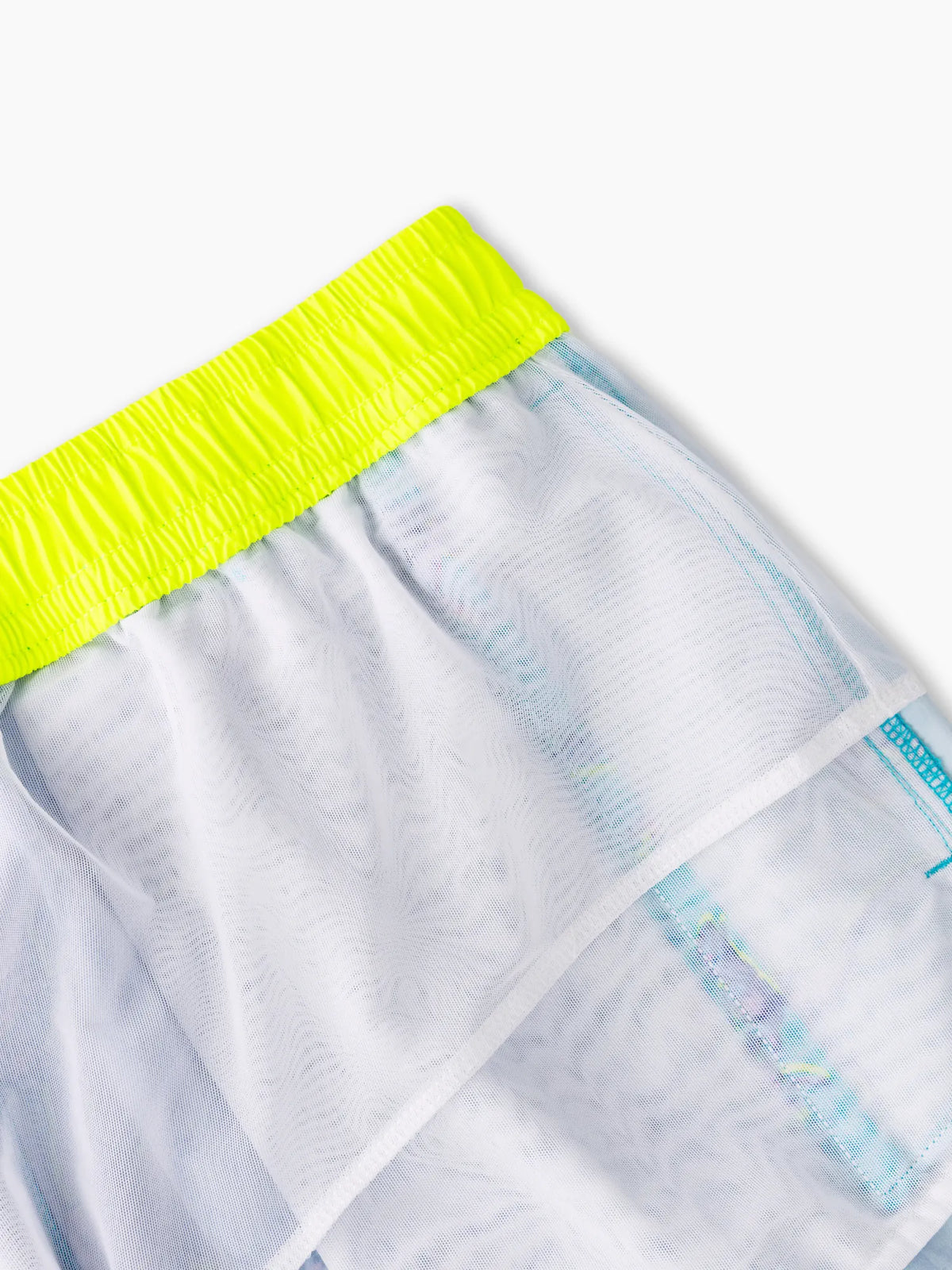 The Dino Delights 5.5" (Classic Swim Trunk)
