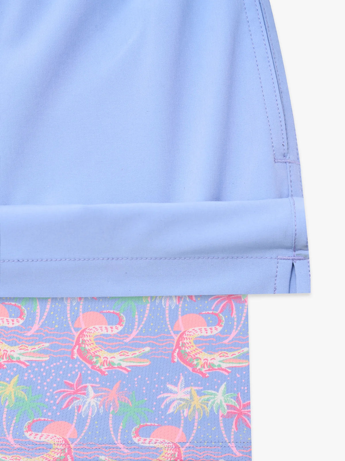 The Alpine Skies (Boys Lined Swim Trunk)