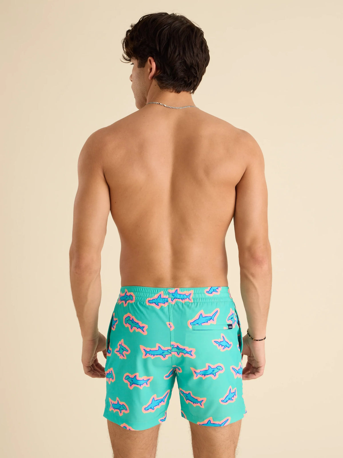 The Apex Swimmers 5.5" (Lined Classic Swim Trunk)