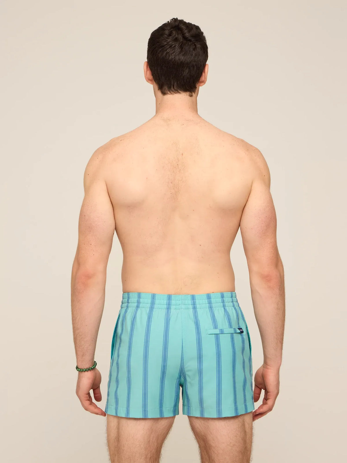 The Everpine Stripes 4" (Classic Lined Swim Trunk)