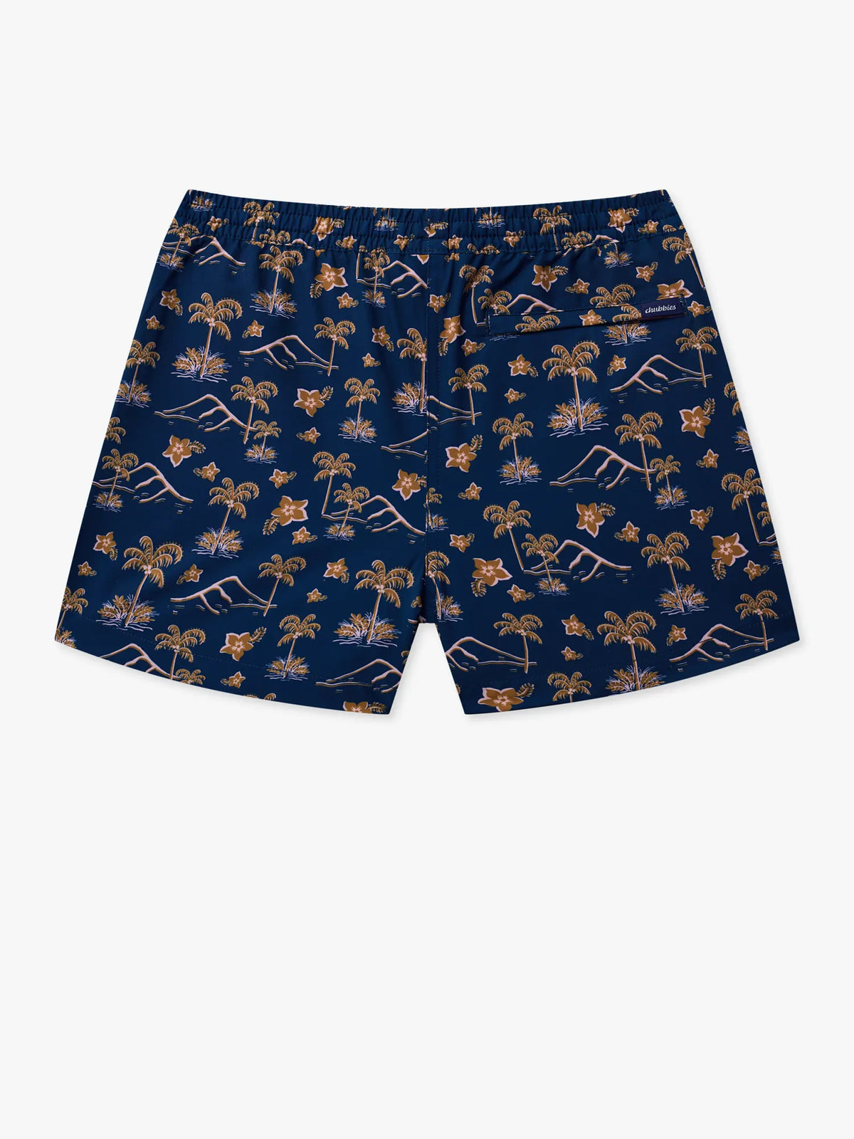 The Habitual Ritual Icons (Boys Lined Swim Trunk)