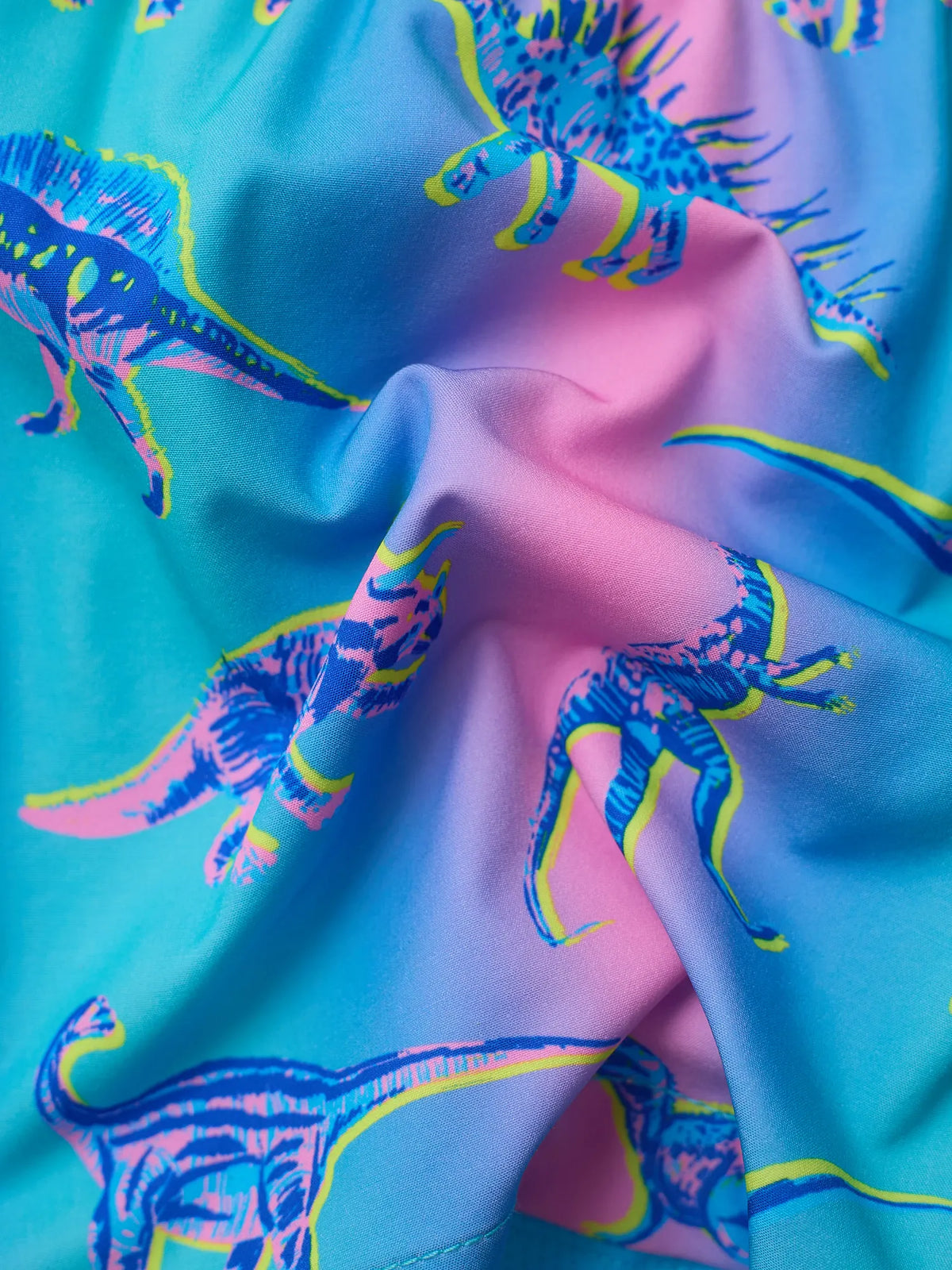 The Dino Delights (Boys Lined Swim Trunk- Magic)